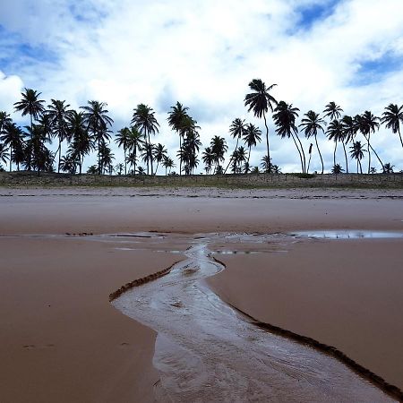 Rosagash Paradise - Praia De Santo Antonio Mata de Sao Joao Exteriör bild