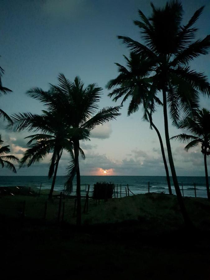 Rosagash Paradise - Praia De Santo Antonio Mata de Sao Joao Exteriör bild