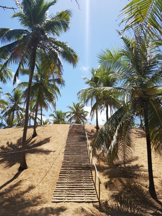Rosagash Paradise - Praia De Santo Antonio Mata de Sao Joao Exteriör bild